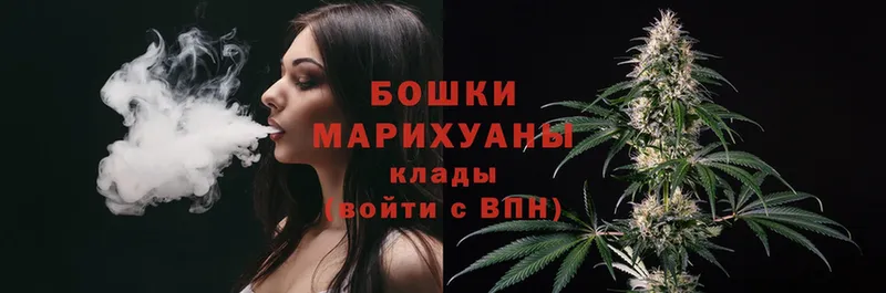 купить   Емва  Бошки Шишки Amnesia 